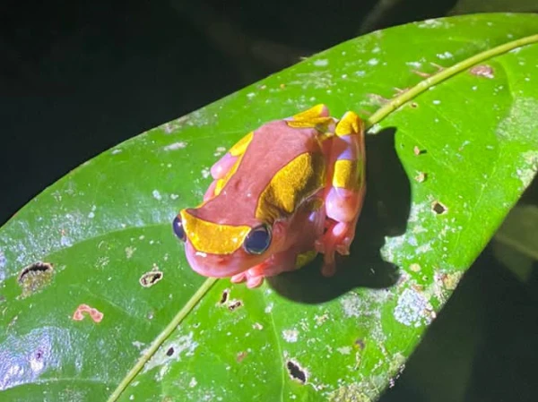 Tipos de tours Tipos de tours