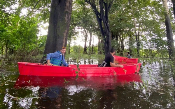 Recomendaciones Recomendaciones