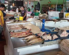 pescados